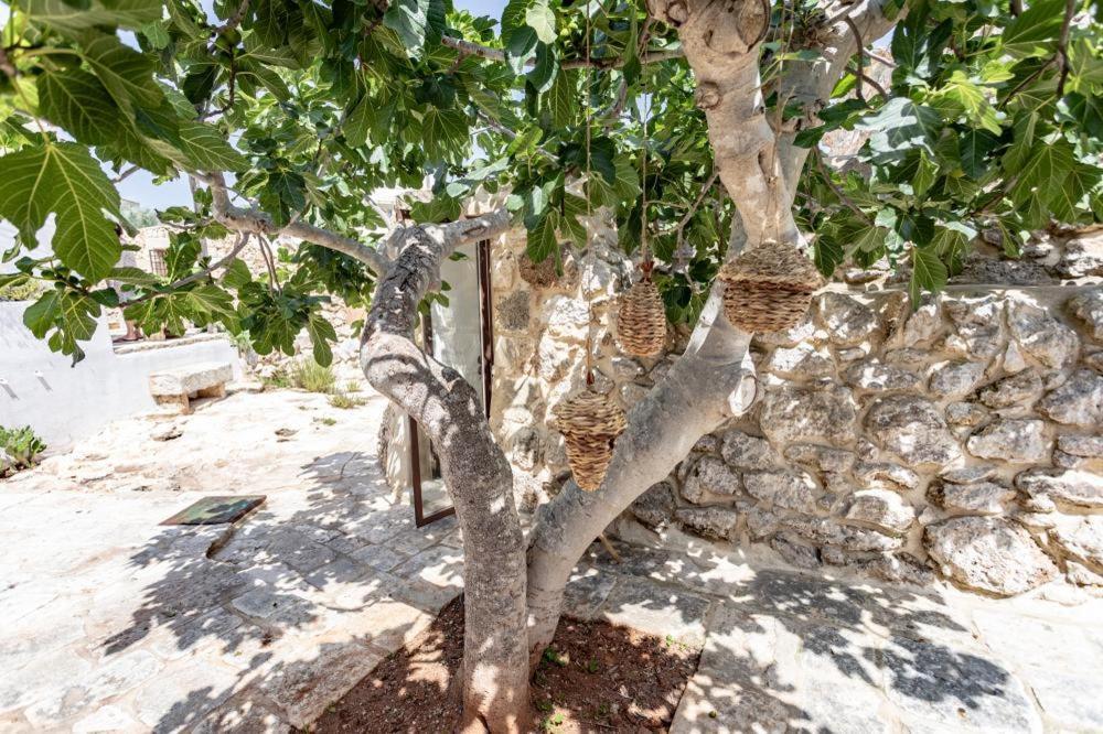 산티시도로 Trullo Santovia B&B 외부 사진