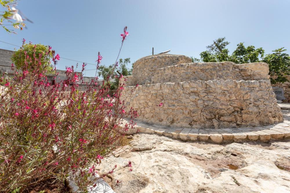 산티시도로 Trullo Santovia B&B 외부 사진